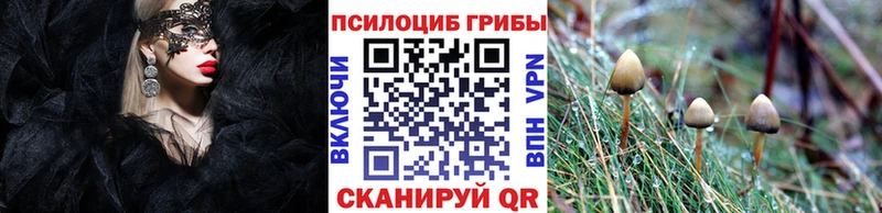 где купить наркотик  нарко площадка как зайти  Галлюциногенные грибы Psilocybe  Благовещенск 